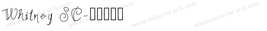 Whitney SC字体转换